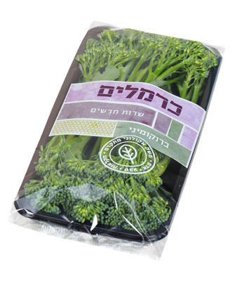 ברוקומיני – מארז