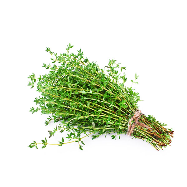 טימין/קורנית