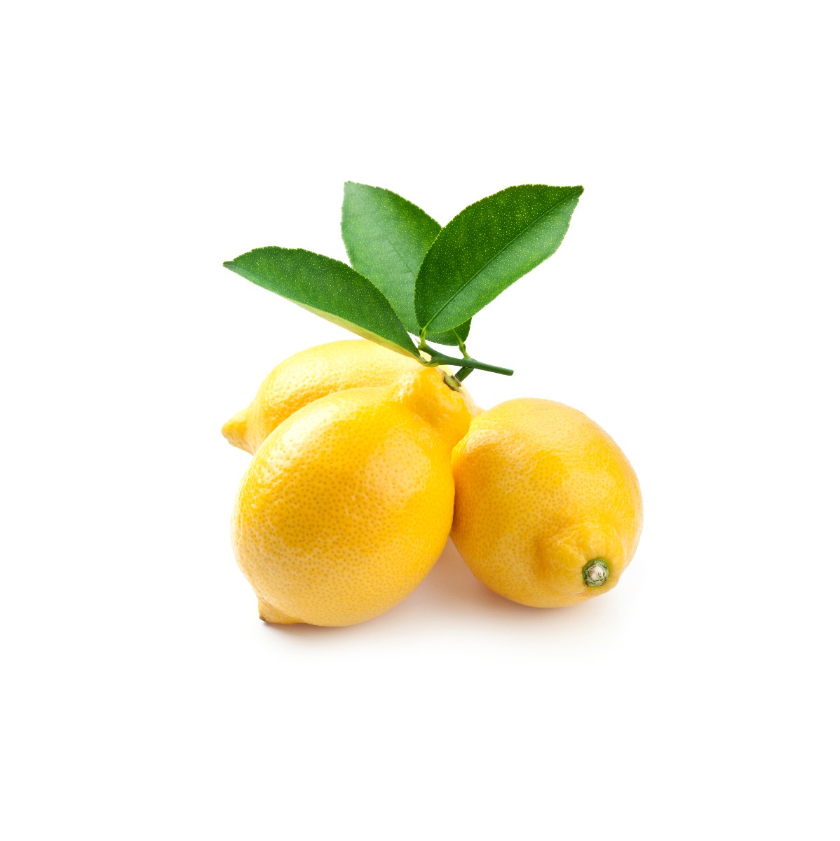 לימון