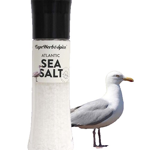 מלח ים