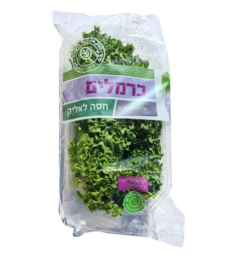 לאליק-741174494.png