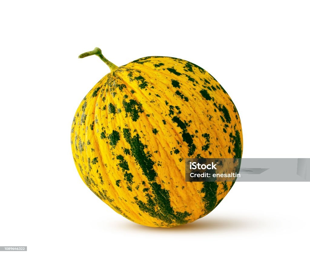 פונטו