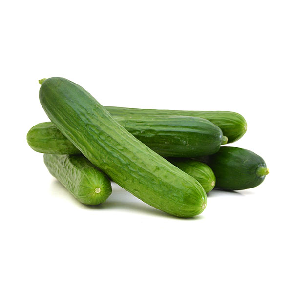 מלפפון בייבי