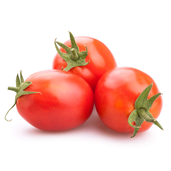 עגבניה תמר