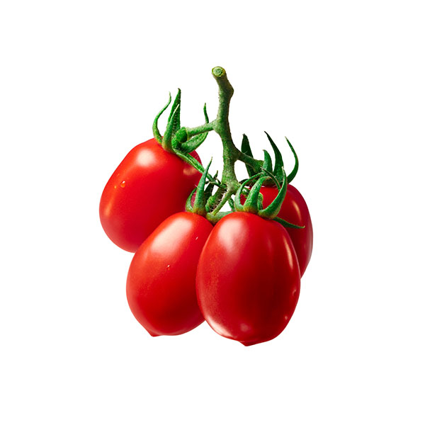 עגבניות שרי תמר אדום