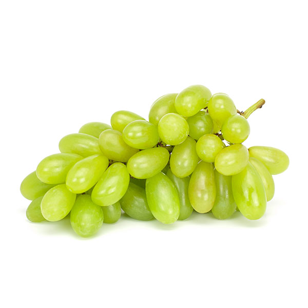 ענבים טלי בוטיק לבן