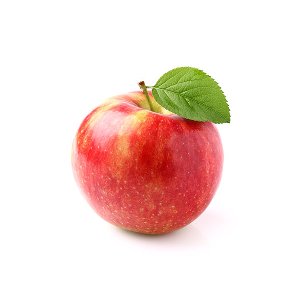 תפוח עץ גאלה – מובחר