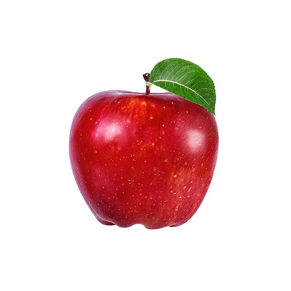 תפוח עץ חרמון
