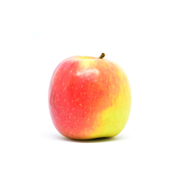תפוח עץ “פינק ליידי”